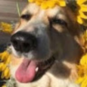 Meet your Posher, Adrienne